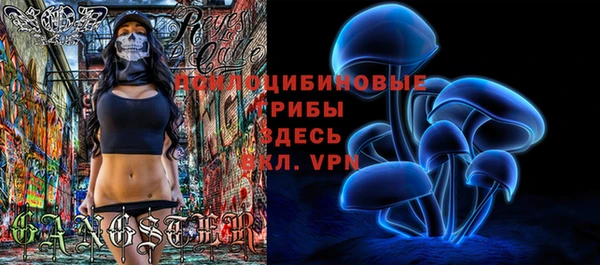 a pvp Богданович