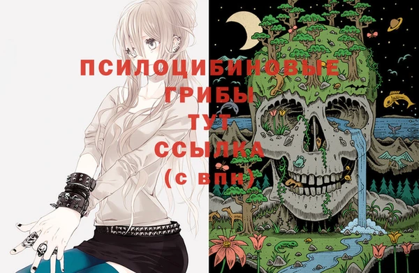 синтетический гашиш Богородицк