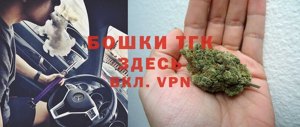 СК Богородск