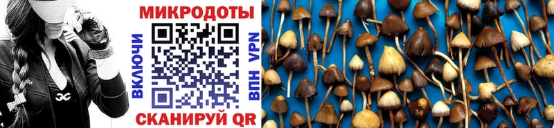 Псилоцибиновые грибы ЛСД  цены наркотик  Верхний Уфалей 