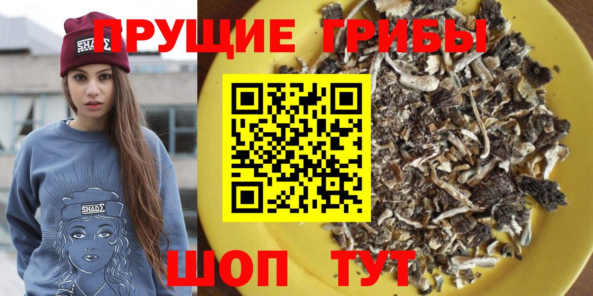 Верхний Уфалей  Галлюциногенные грибы Psilocybe  Вход с VPN  Галлюциногенные грибы Psilocybe 